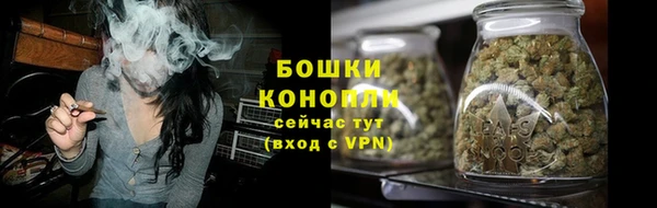 мдпв Богородск