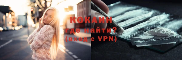 мдпв Богородск