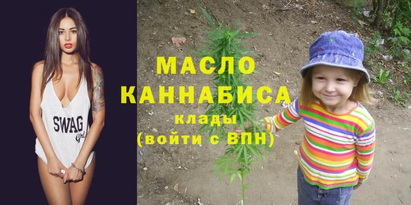 мдпв Богородск