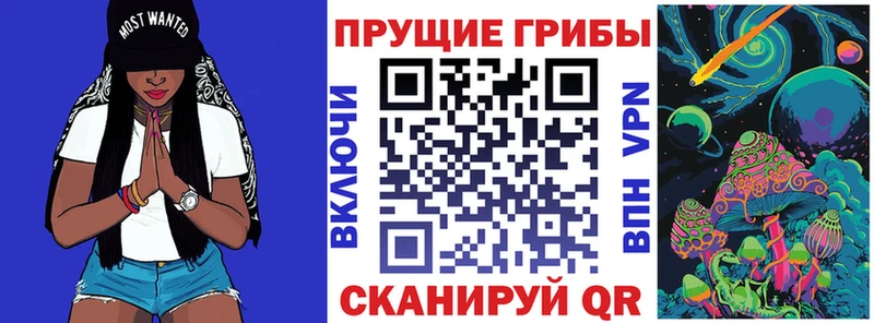 где продают   Ковров  Псилоцибиновые грибы GOLDEN TEACHER 